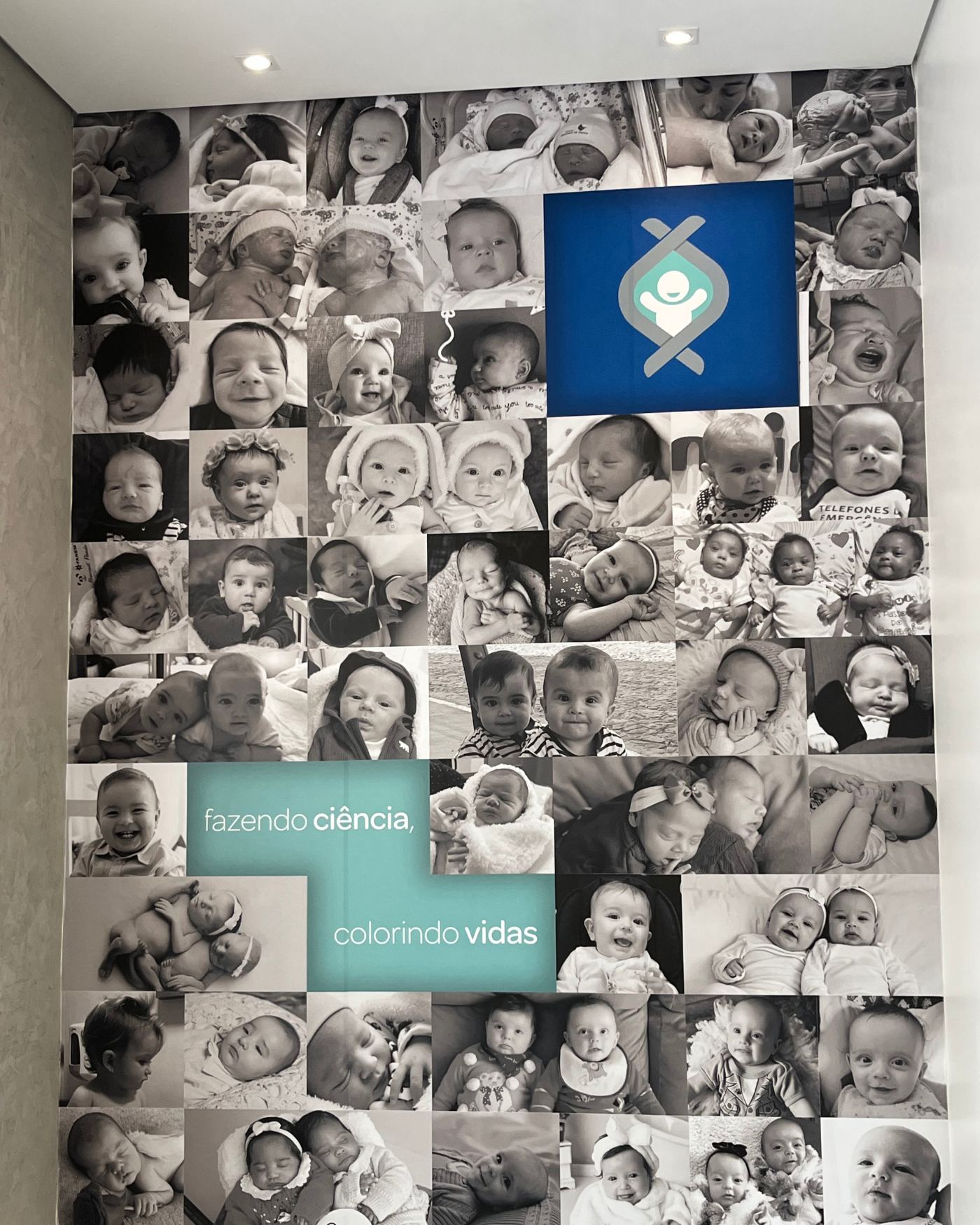 Parede de fotos de bebês nascidos com apoio da Insemine